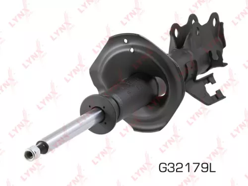 Shock absorber strut gas, left, front