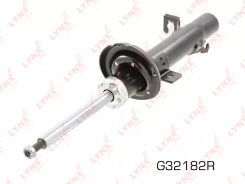 Shock absorber strut gas, right, front