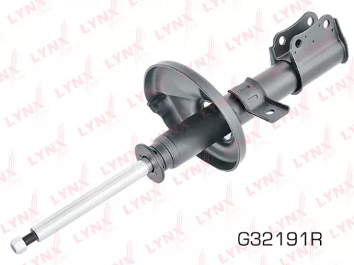 Shock absorber strut gas, right, front
