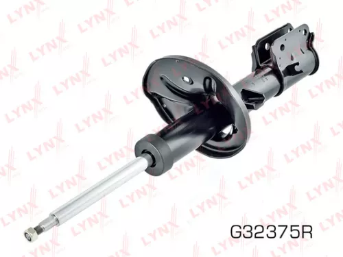 Shock absorber strut gas, right, front
