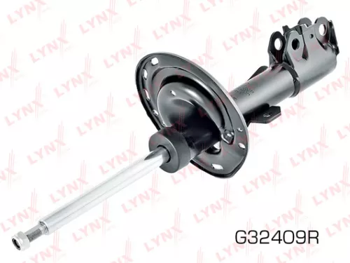 Shock absorber strut gas, right, front