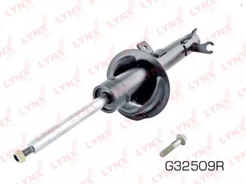 Shock absorber strut gas, right, front