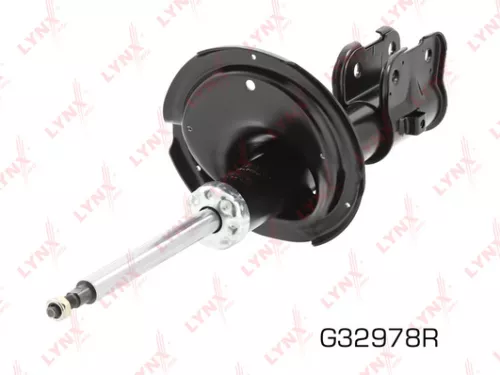 Shock absorber strut gas, right, front