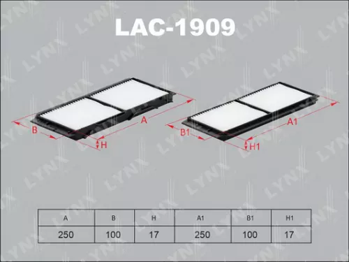 Cabin filter (x2)