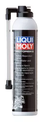 Mounting Paste
